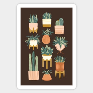 Cactus & Succulents Sticker